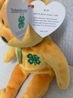 Ty Beanie Baby    4h The Gold Bear Bear 8 5  Plush New Mwmt s