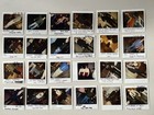 Lot Of 24 Madtv Polaroid Original Photos Mad Tv Show Wardrobe 90s Actors Comedy