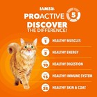 Iams Proactive Health Adult Healthy Dry Cat Food With Chicken  22 Lb Bag