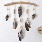 Natural Pheasant Feathers Mixed Feathers For Crafts Diy Hat Floral Arrangements