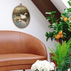 Cgbhw Vintage Duck Oval Wall Art Decor  Spring Country 8 6x11 4  Colour11