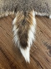 Tanned Whitetail Deer Skin Hide Rug 35x43    Plus 12    Tail Cabin Decor