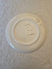 Cedar Point Amusement Park Vintage Souvenir  9  Plate