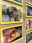 Vintage Rare Lot Of 7 The National Geographic Magazines 1986 1987 S 