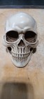 Vintage Halloween Skull Resin Prop Skeleton Decoration Spooky Real Looking 