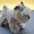 1950s Vintage German Steiff Mohair Snobby Poodle Dog Missing Button Tag