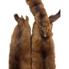 Wild Mink Pelts - Head  Legs  Tail Intact - Set Of 3