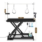 Super Deluxe 36  Electric Pet Grooming Table     Pro Groomer Recommended W lift