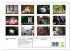 Calendar 2027    Us Version    Wild Animals - Wild Animals  wall Calendar 2027 12 