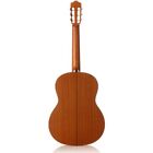 Cordoba C5 Cedar Top Mahogany Back And Sides Nylon-string Classical Guitar