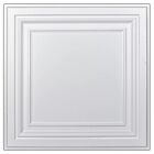 Art 3d 2 Ft  X 2 Ft  Pvc Glue-up Or Lay-in Ceiling Tile In White Case  48 