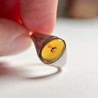 Wasp In Amber Fossil Ring  Adjustable Sterling Silver  99 Million Years Old