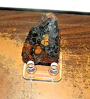 26 Gm Sericho Pallasite Meteorite Slice From Kenya Stand Olivine