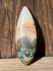 Prudent Man Agate Cabochon Idaho
