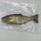 Nates Baits 7 5 Inch Shad Swimbait Rare Bluegill Color