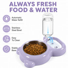 2 In 1 Dog Cat Food Water Bowl Automatic Water Dispenser Pet Feeder Purple