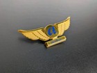 Airtran Airways Junior Flight Crew Pilot Wings Pin