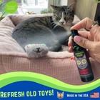 Catnip Spray For Cats From 2 Ounce Fresh Premium Maximum Potency Nip Treat