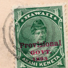 Hawaii  55 Single Use Cover To New York