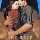 The Twilight Saga New Moon Fleece Blanket 2009 Edward   Bella 50x60 Euc