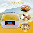 55 Egg Incubator With Humidity Display  Egg Candler  Automatic Egg Turner  For H
