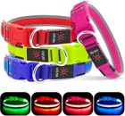 Usb Rechargeable Led Dog Collar Light Up Puppy Bright Night Safety Glow In The