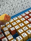 Japanese Montessori Hiragana Stamp Set In Case