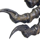 Velociraptor  Raptor Claw     Fossil  Raptor  Claw  Museum-quality Replica