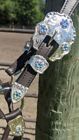 Silver Show Halter - Iridescent Stones - Dark Oil - Horse Size - Matching Lead