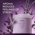 Aveda Stress-fix Soaking Salts 16 Oz 454 G Avd127 Ship From Usa
