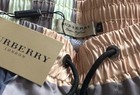 Nwt Classic Burberry Check Pattern Beige Swim Trunks   Shorts