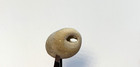 Natural Holey Beach Rock Hag Stone Fairy Wishing Adder Mystical Magical  j Usa