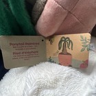 Russ Greenhouse Ponytail Palm  Flamingo Flower  Photos Stuffed Plants Set