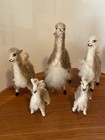 Vintage Family Of 5 Alpacas From Peru 1994 - Buy The Herd For One Price