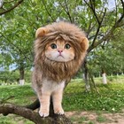 Cute Lion Mane Cat Wig Small Dog Cats Costume Lion Mane Wig Cap Hat For Cat