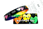 Zox   purrfectly You   Silver Medium Single Wristband W card Pride