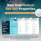 Baja Gold Mineral Sea Salt  Fine Grind  1 Lb  Bag  Free Shipping  New   