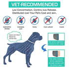 Natural Ingredients Flea And Tick Prevention   Treatment Collar For Dogs 2 Pack