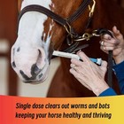 30 Pack Apple Flavor Horse Dewormer Paste Boxed Wormer Exp 01 2028
