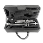 Bb Standard Trumpet Set For Beginner Brass Student Trumpet Instrument Hard Case