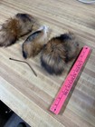 Fly Tyers Special   Broken Tails 2 Red Fox 1 Grey Fox R 14 Brown  Id Tag
