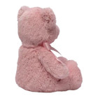 Gund Baby My First Teddy Bear Stuffed Plush Toy Soft Pink 10  For Newborn Infant