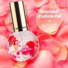 Blossom Cuticle Oil For Nails  Hydrating  Moisturizing  Scented Nail Oil Cuticle