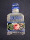 Antique Glass Hand Painted Cologne Apothecary Bottle With Stopper