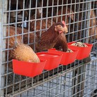 30 Large Cup Hanging Water Feed Cage Cups Poultry Gamefowl Rabbit Chicken Hang