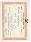Thailand  Revenues On Document   21  