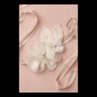 Bhldn Horticultural Society Sash Bridal Wedding