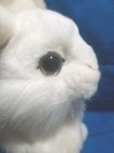 Rare 2010 Hansa Creation White Snowshoe Rabbit Lifelike Realistic 13  Plush 