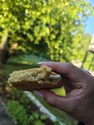 Freshly Baked Oatmeal   White Chocolate Chip Cookies     1 Dozen