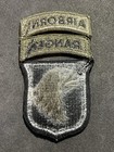 Us Army 101st Airborne Subdued Patch With Airborne   Ranger Tabs  011526-4